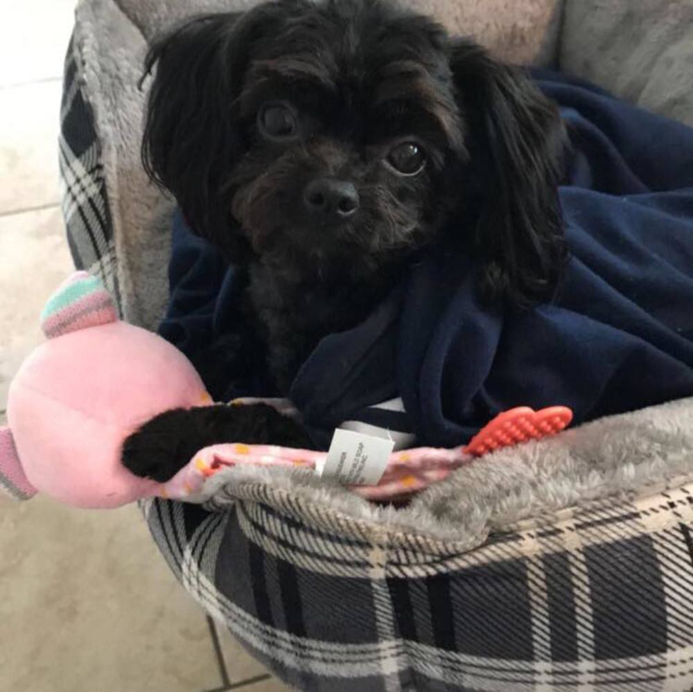 Meet your Posher, Lb